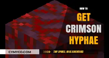 Unlocking the Secrets of Crimson Hyphae: A Comprehensive Guide