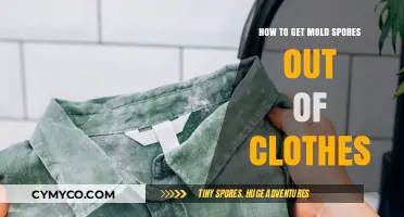 Effective Ways to Remove Mold Spores from Your Clothes