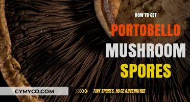 Unlocking the Secrets: A Guide to Harvesting Portobello Mushroom Spores