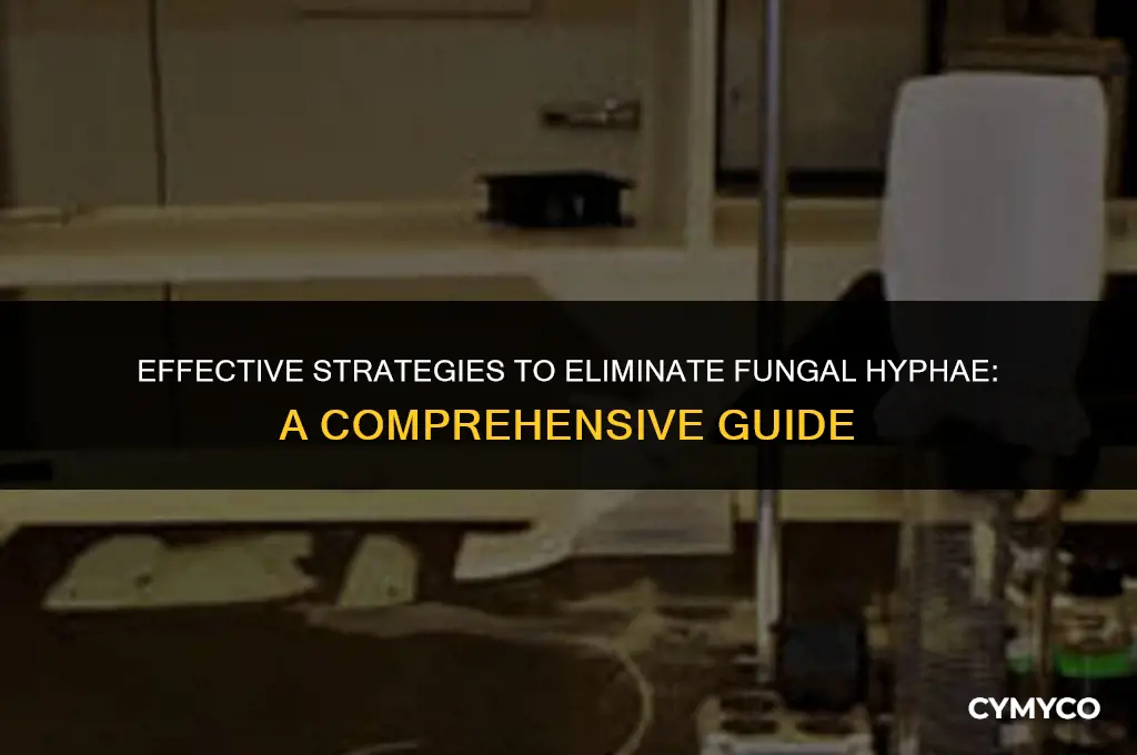 how to get rid of fungal hyphae