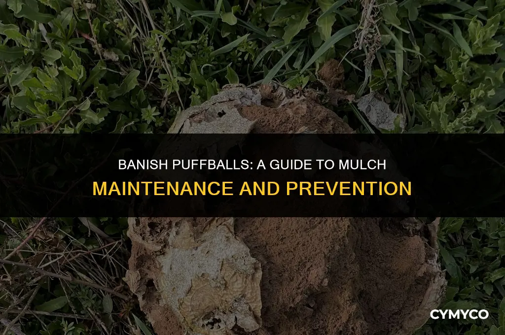 how to get rid of puffballs in mulch
