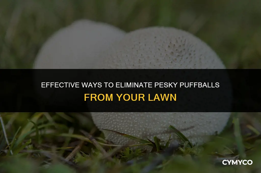 how to get rid of puffballs