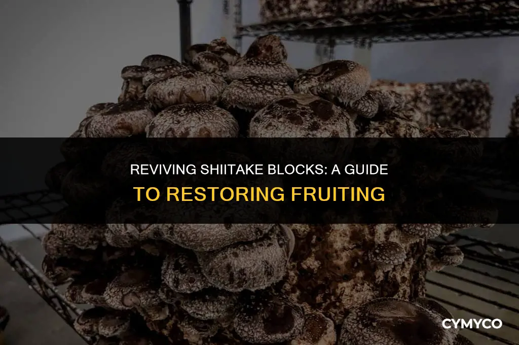 how to get shiitake block to fruit again