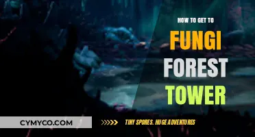 Exploring the Enchanting Path to Fungi Forest Tower
