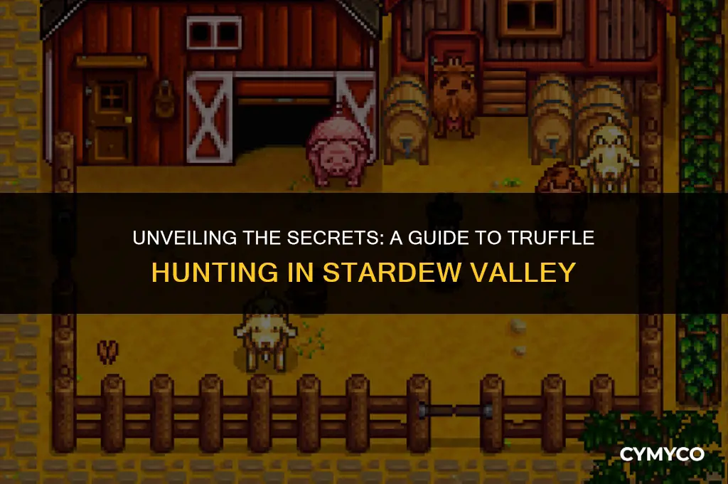 how to get truffle stardew