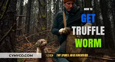 Unearthing Gourmet Delights: A Guide to Finding Truffle Worms