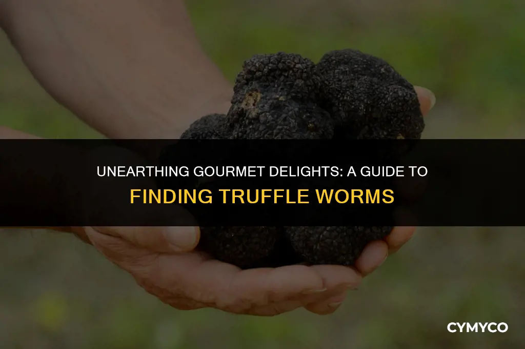 how to get truffle worms