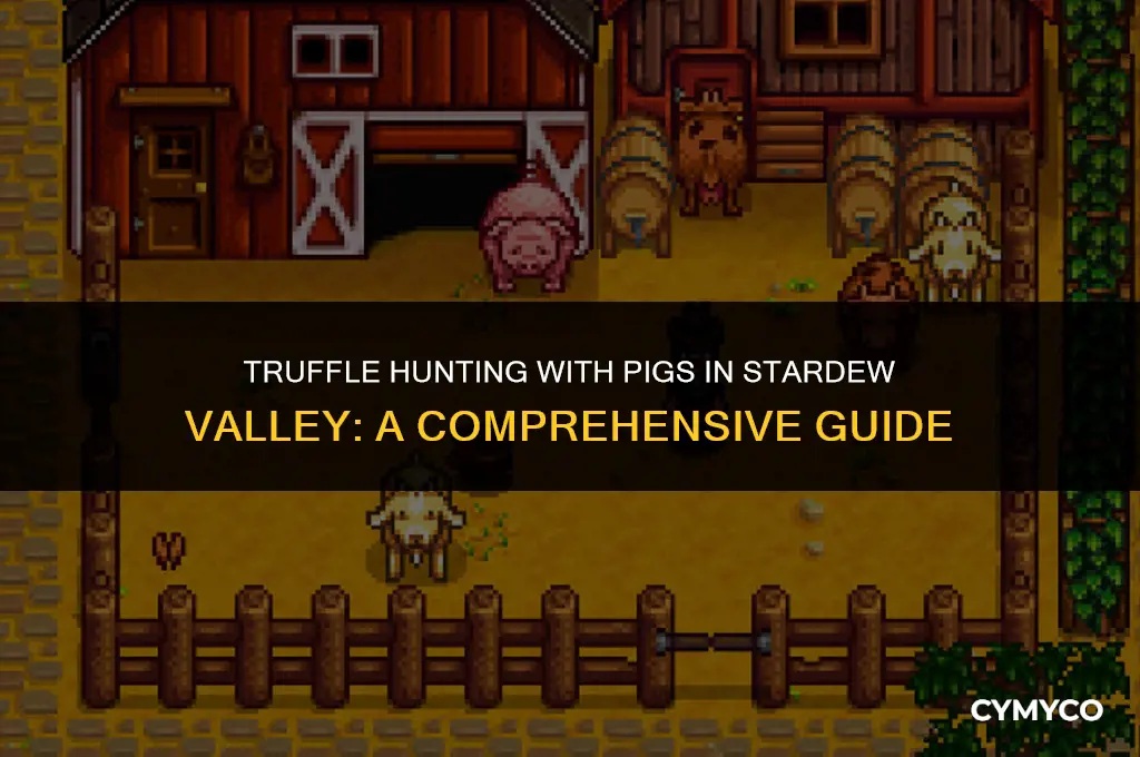 how to get truffles from pigs stardew