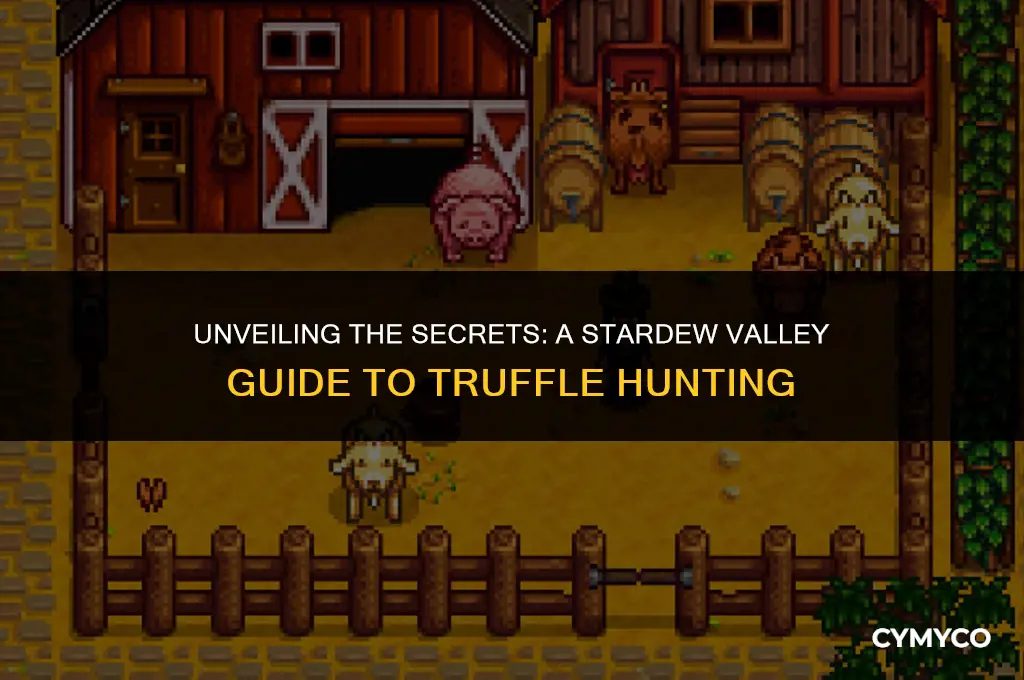 how to get truffles stardew