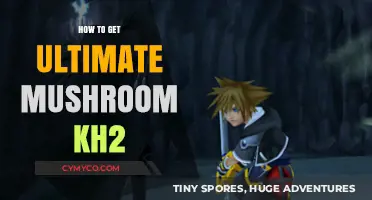 Mastering Mushroom XIII: Ultimate KH2 Farming Guide for Gamers