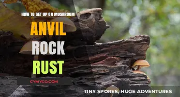 Mastering Mushroom Anvil Rock: Rust Climbing Tips for Beginners