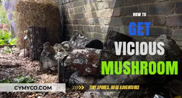 Mastering the Art of Harvesting Vicious Mushrooms Safely and Effectively