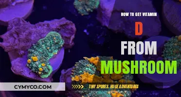 Boost Your Vitamin D Intake with Sun-Kissed Mushrooms