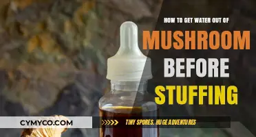 Efficiently Removing Water from Mushrooms for Perfect Stuffing Every Time