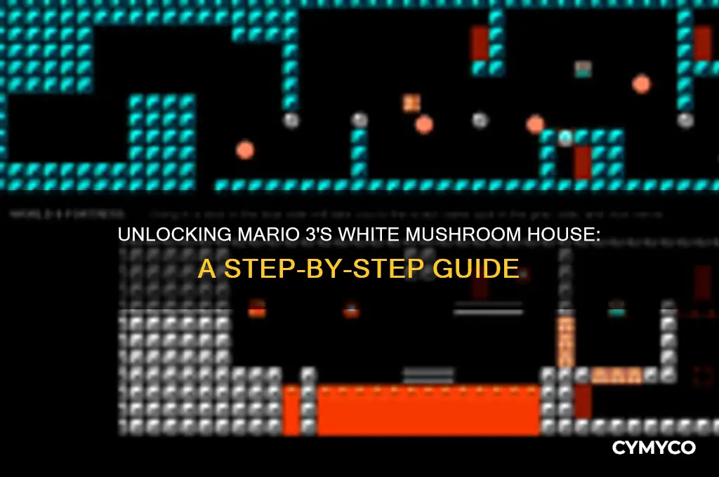 how to get white mushroom house in mario 3