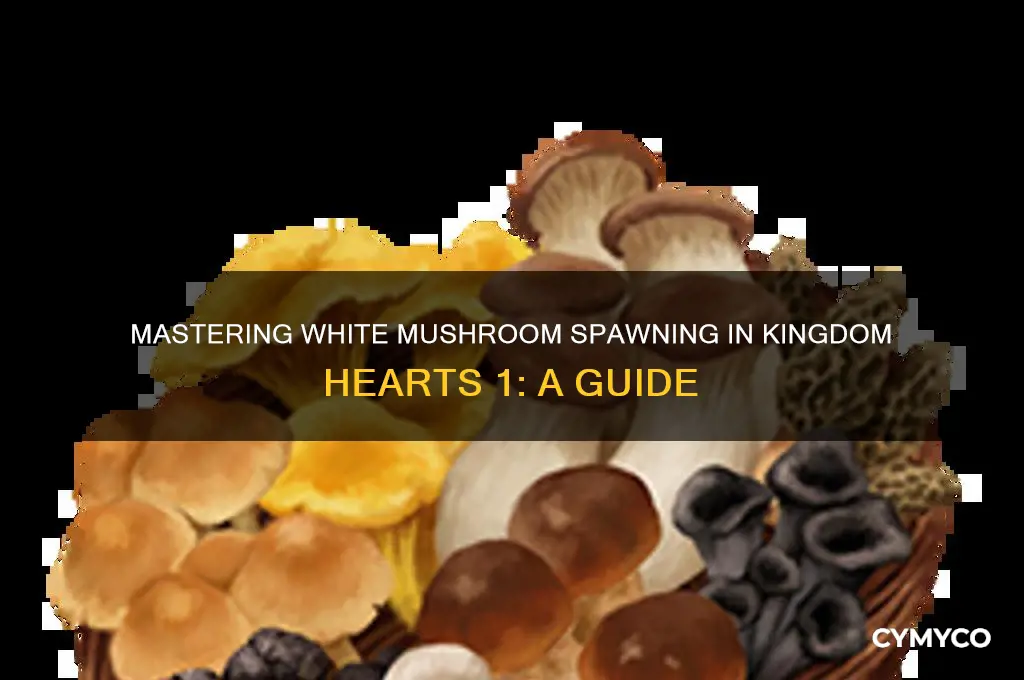 how to get white mushrooms to spawn kh1