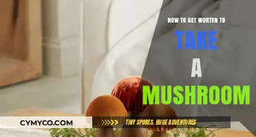 Teaching Your Worten Pet to Safely Enjoy Mushrooms: A Guide