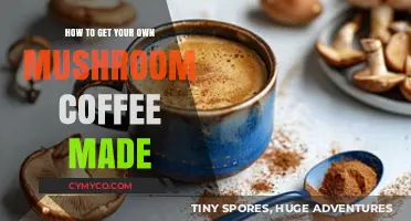 Brewing Your Perfect Mushroom Coffee: A Simple DIY Guide