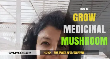 Cultivating Healing Fungi: A Guide to Growing Medicinal Mushrooms