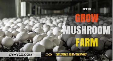 Cultivating Profits: A Beginner's Guide to Mushroom Farming Success