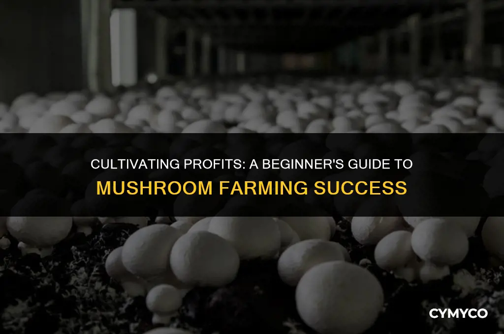 how to grow mushroom farm