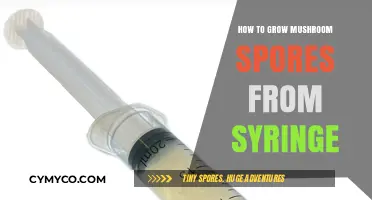 From Syringe to Harvest: A Beginner's Guide to Growing Mushroom Spores