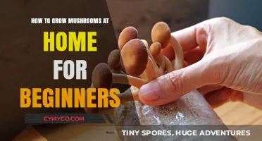 Easy Mushroom Growing: A Beginner's Guide to Homegrown Fungi