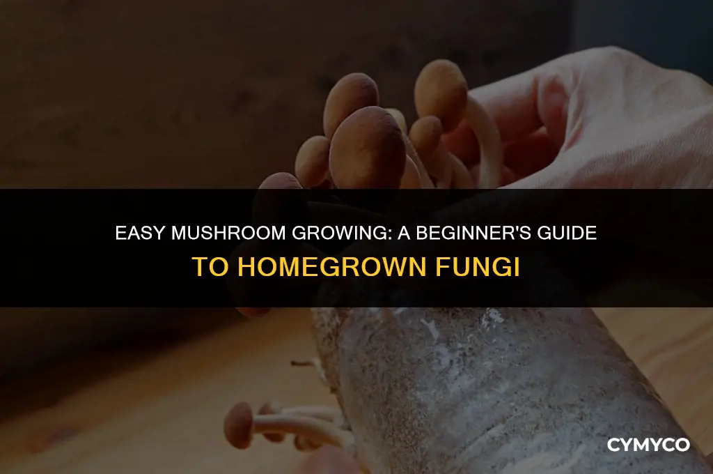 how to grow mushrooms at home for beginners