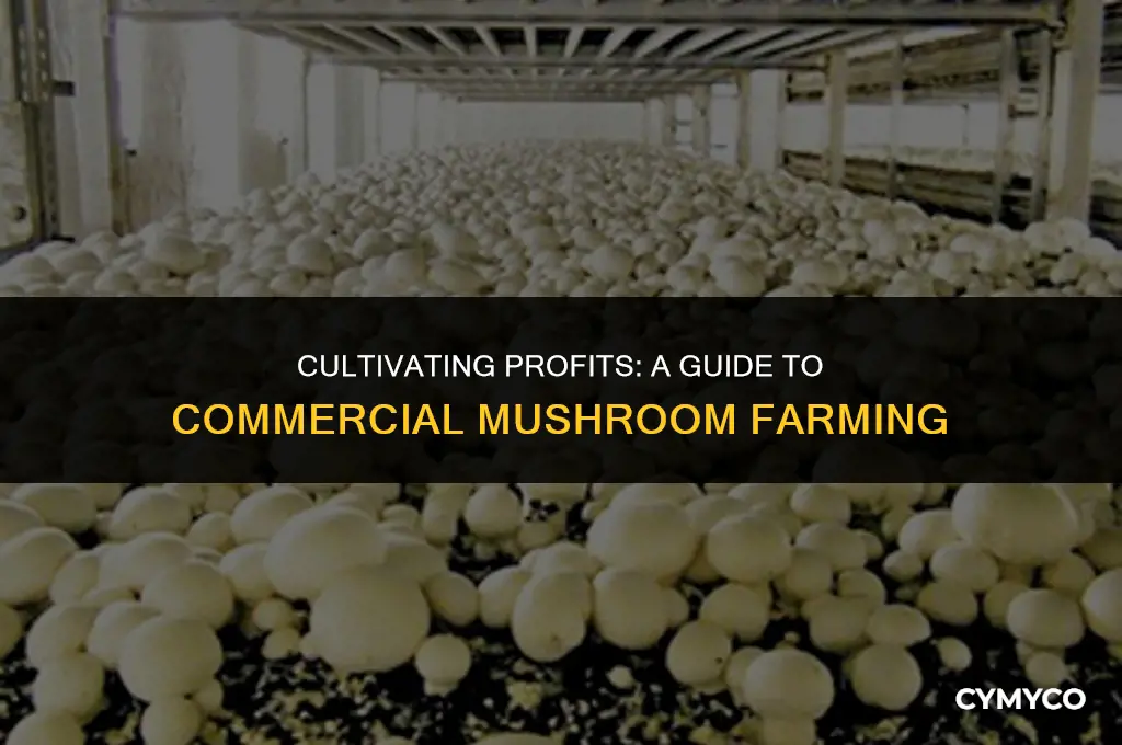 how to grow mushrooms commercially