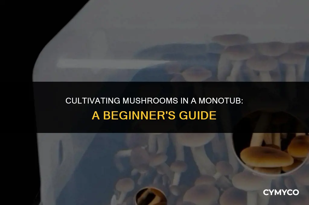 how to grow mushrooms in a monotub