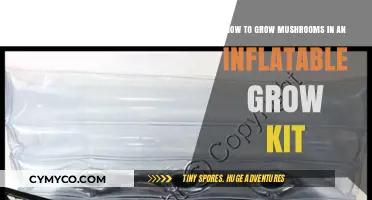 Easy Mushroom Cultivation: A Guide to Inflatable Grow Kits