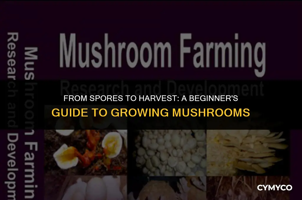 how to grow mushrooms with spore