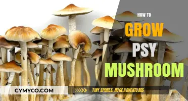 Cultivating Psychedelic Mushrooms: A Comprehensive Guide