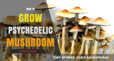 Cultivating Consciousness: A Guide to Growing Psychedelic Mushrooms