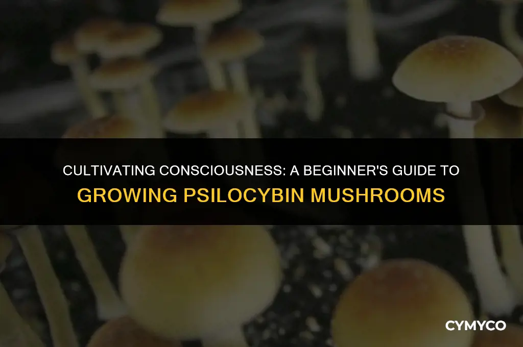 how to grow psylocybin mushrooms