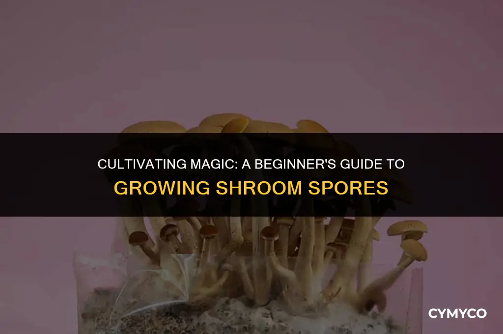 how to grow shroom spores