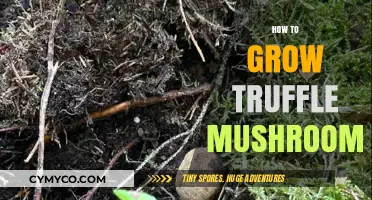 Truffle Cultivation: A Comprehensive Guide to Growing Gourmet Mushrooms