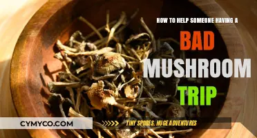 Guiding Through the Storm: How to Help Someone on a Bad Mushroom Trip
