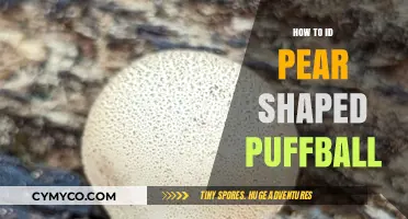 Identifying Pear-Shaped Puffballs: A Comprehensive Guide
