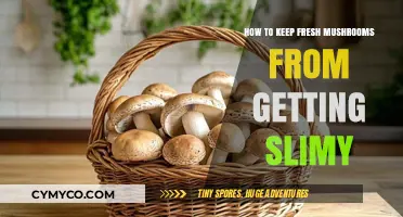 Fresh and Fabulous: Preventing Mushrooms from Becoming Slimy