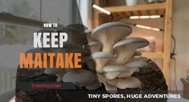 Preserving Maitake Mushrooms: A Comprehensive Guide