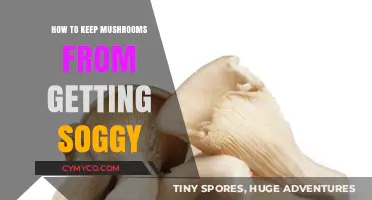 Mastering the Art of Keeping Mushrooms Fresh and Firm
