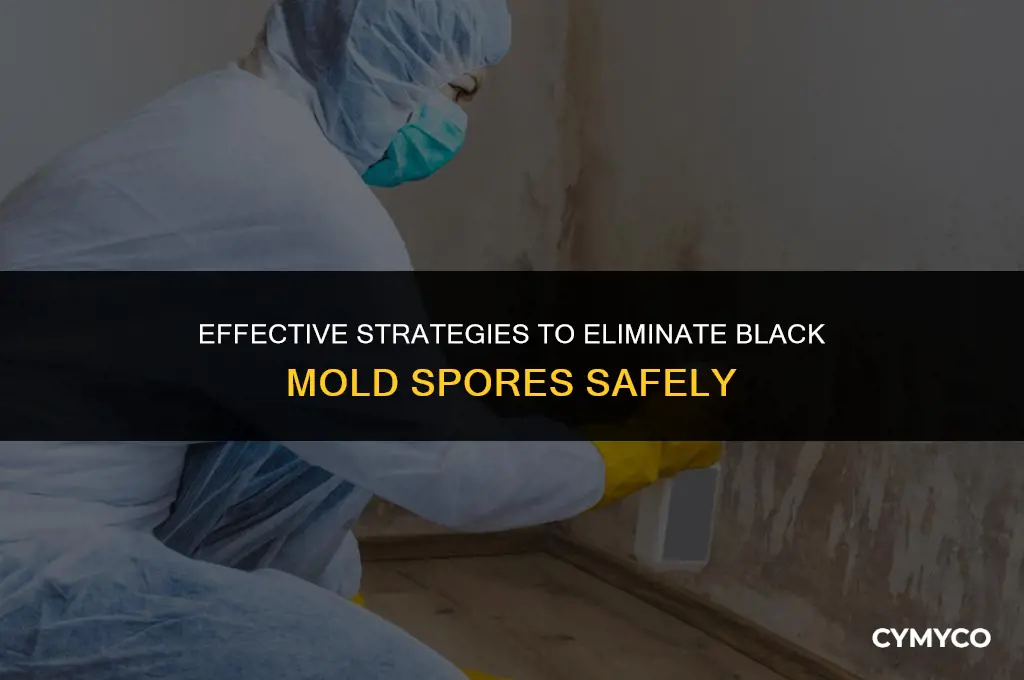 how to kill black mold spores