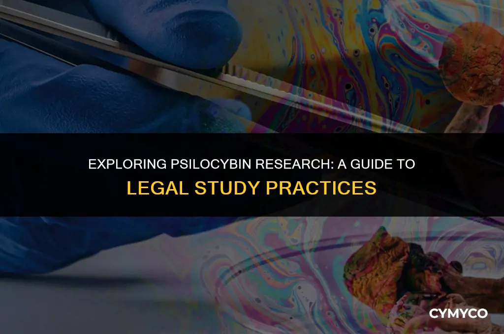 how to legally study psilocybin mushrooms