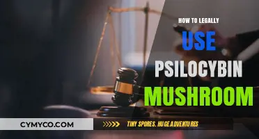 Exploring the Legal Landscape of Psilocybin Mushroom Use