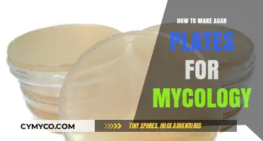 Crafting Agar Plates: A Beginner's Guide to Mycology Experiments