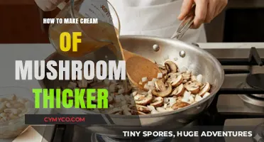 Thicken Cream of Mushroom Soup: Simple Tips for Richer Texture