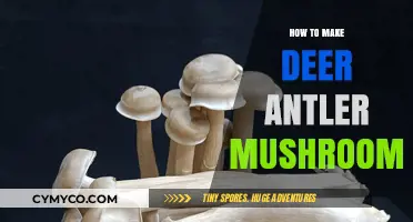 Crafting Culinary Magic: A Guide to Making Deer Antler Mushrooms