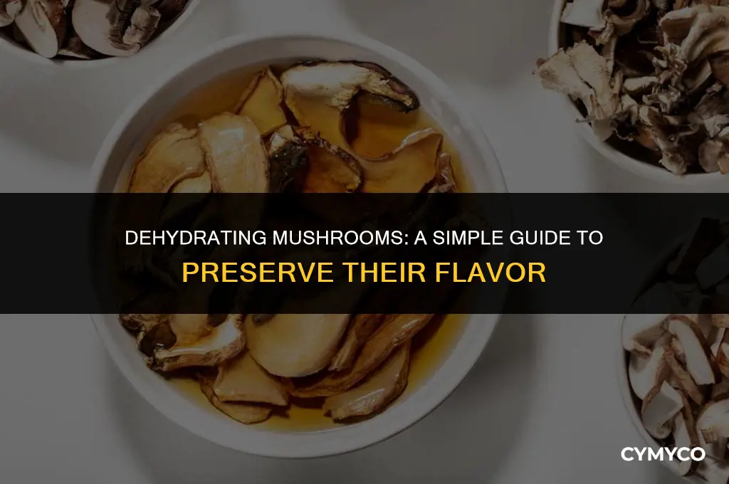 how to make dehydrated mushrooms the sprucethe spruce