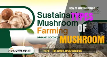 Exploring the Mycological World: A Guide to Cultivating Diverse Mushroom Varieties